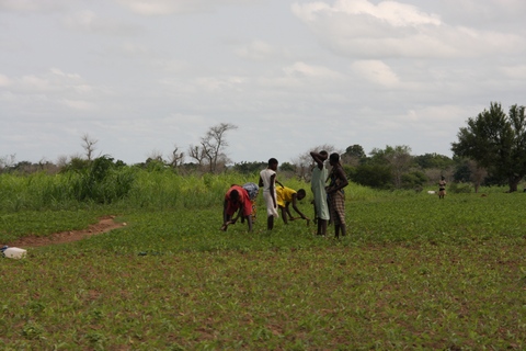 girls on the farm